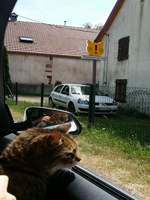 zep produits transports